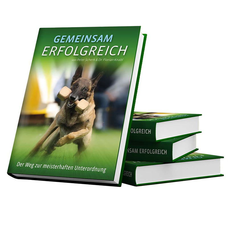 Cover of Successful Together by Peter Scherk and Dr. Florian Knabl