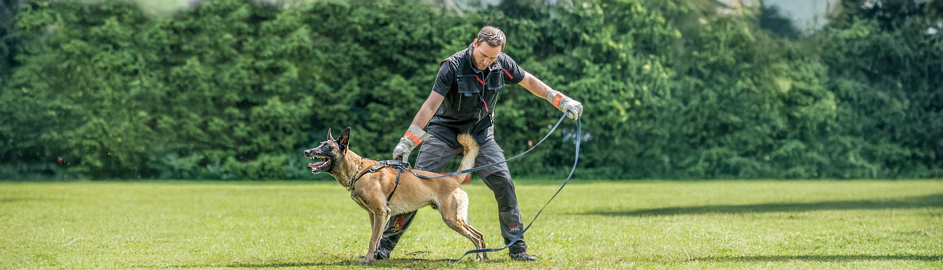 Dog Sport Clothing