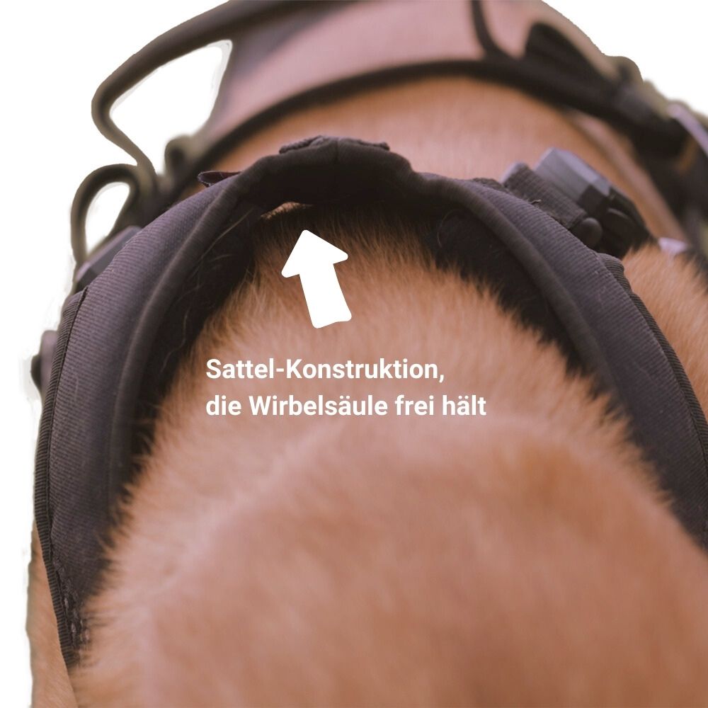 Detailaufnahme von Geschirr mit Sattelkonstruktion
