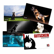 IQ Geschenkgutschein