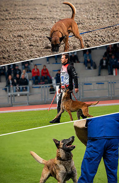 Women’s Dog Training Clothing | IGP & Working Dogs | IQ Dogsport