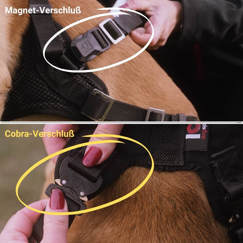 Detailbild von Schnallen: Auto-Lock und Cobra