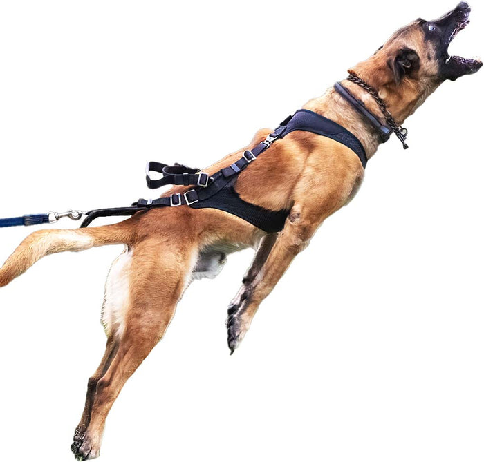 Performance Pro Cobra – Tactical Protection Dog Harness