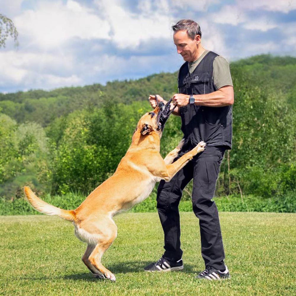 IQ Summer Vest 3.0 - Dog Sport Vest for Warm Days