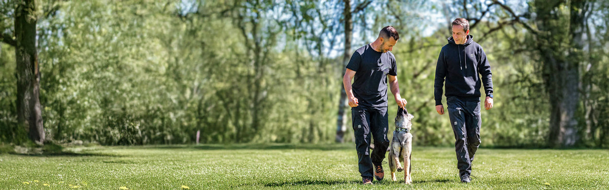 IQ dog training trousers in use during training with a dog.