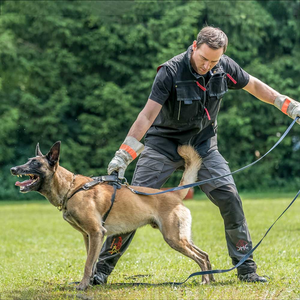 IQ Dog Sport Vest 3.0 with Back Pocket | Hidden Reward System – IQ
