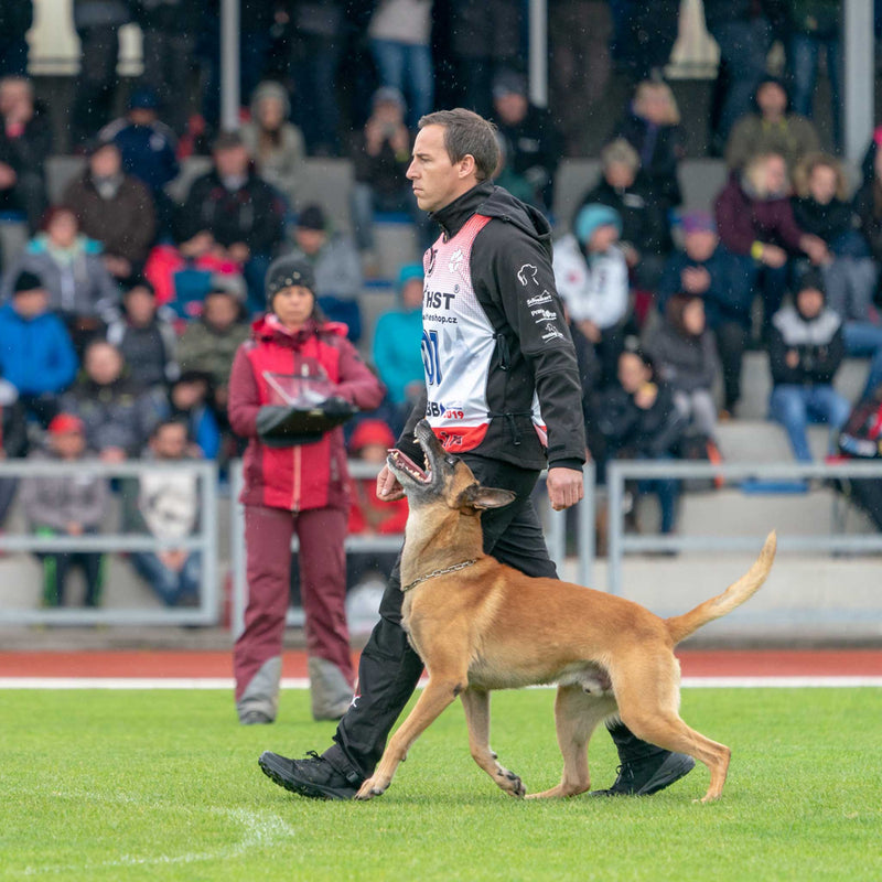 Dr. Florian Knabl heeling with a Malinois at world championship level
