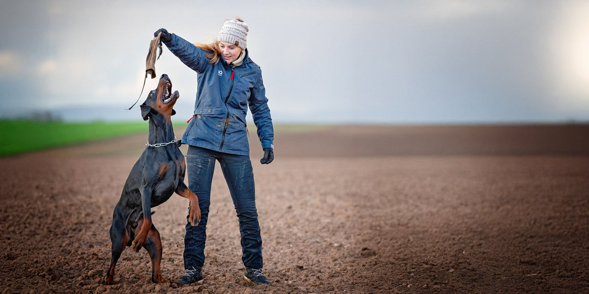 IQ Allround-Jacke beim Training mit Hund