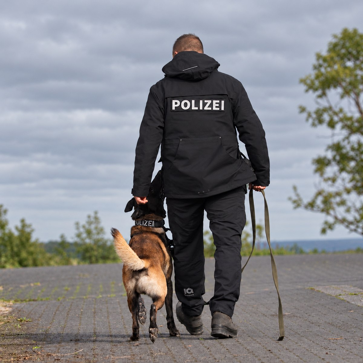Polizist mit Malinois beim Fuß laufen Rückenansicht