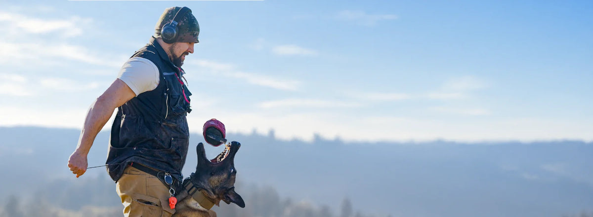 Dog catches a toy released in front of the handler's vest