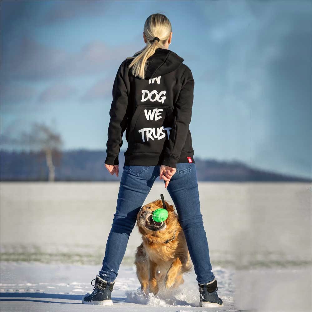 Back view of an IQ training hoodie with print, dog heeling in the snow