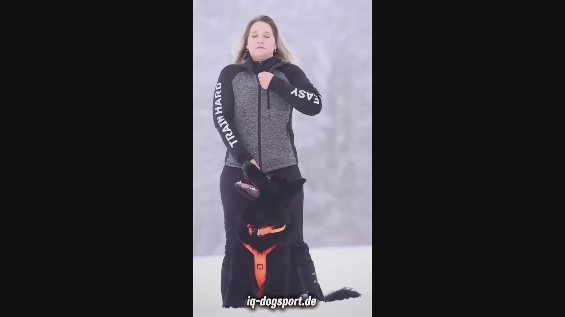 Load video: IQ Damen Zip-Hoodie Grau — figurbetonter Hundesport-Hoodie mit Reißverschluss | IQ Dogsport