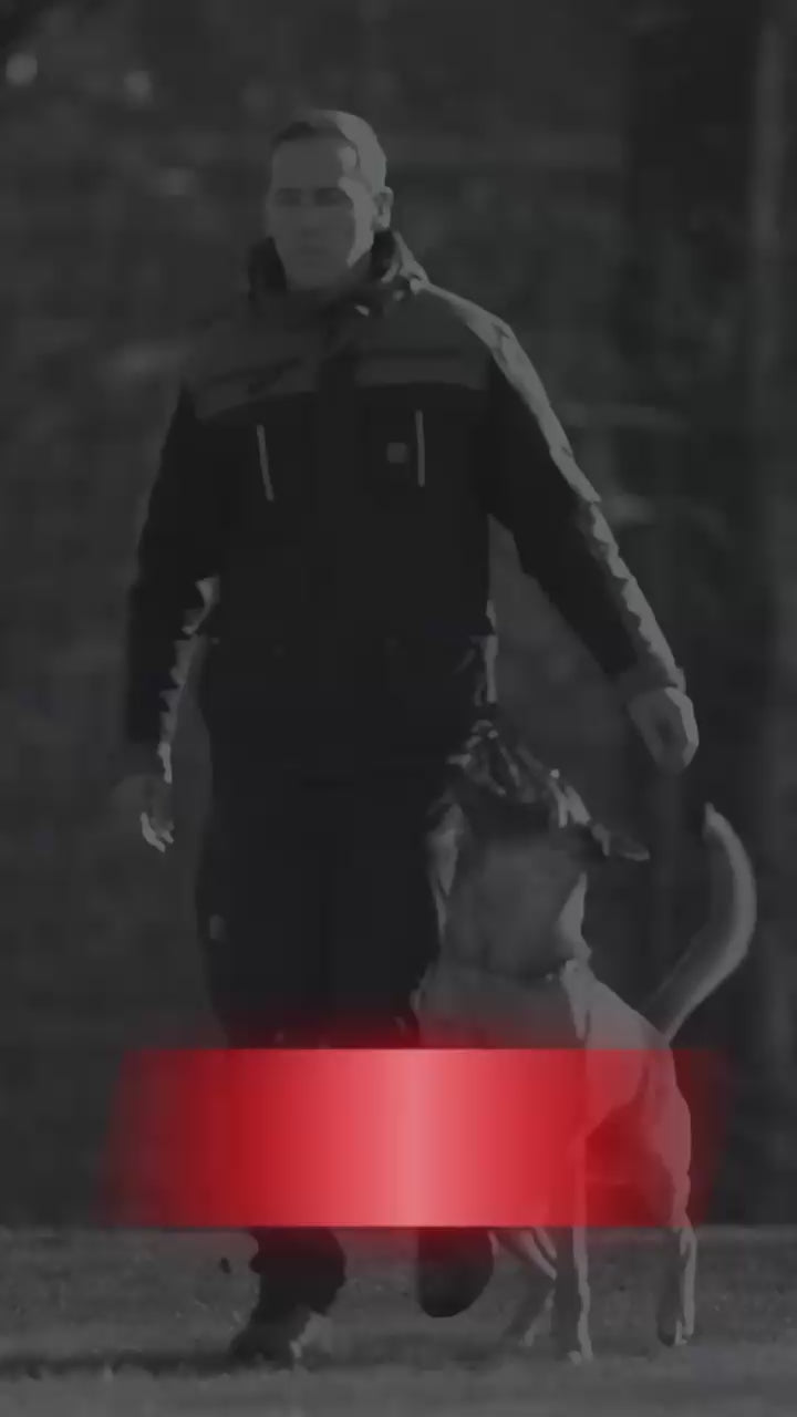 Video: IQ Multifunktionsjacke 3.0 Oliv im Hundesport-Training