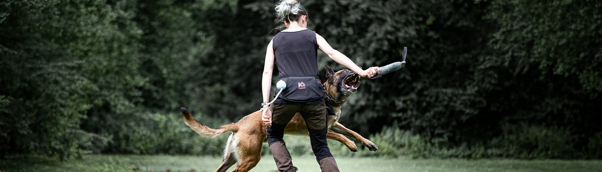 Dog Training Equipment