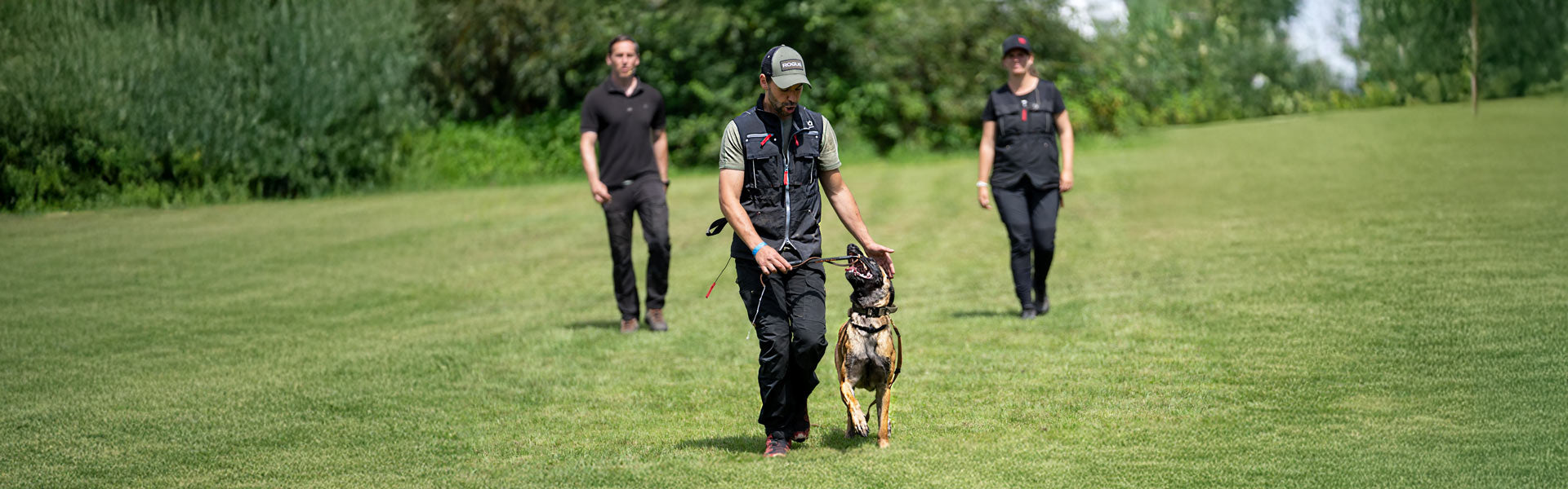 Dog Sport Training Equipment