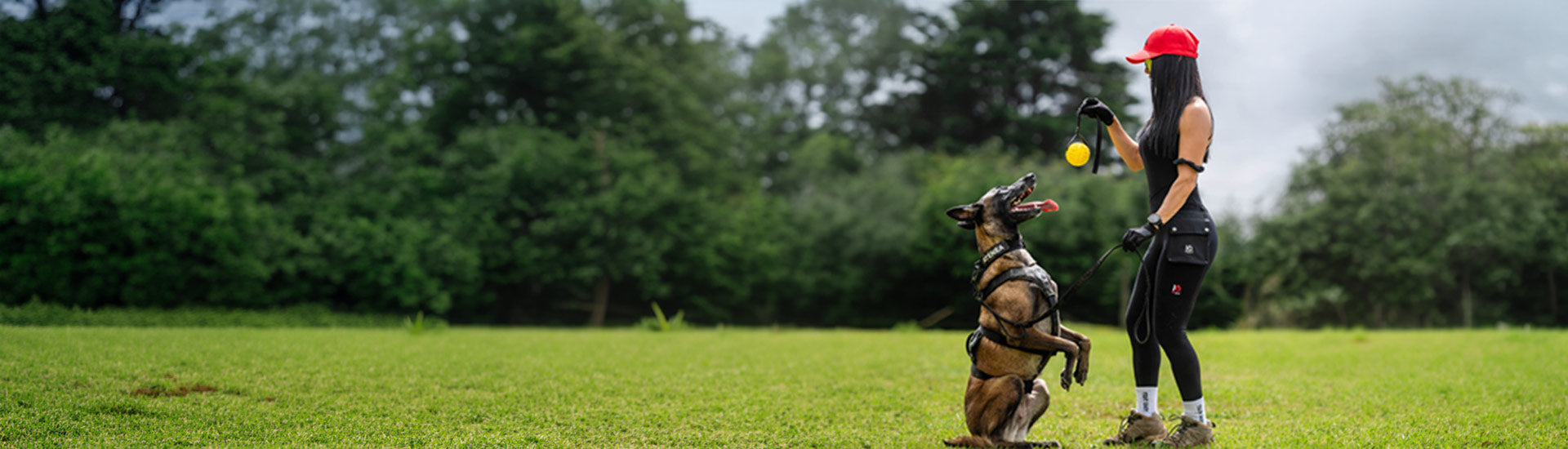 Accessories for Dog Sport & Clothing Accessories